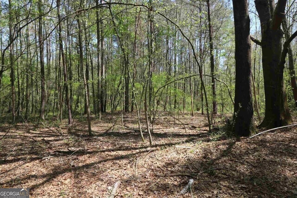 Photo of 0 Old Conyers Road, STOCKBRIDGE, GA 30281 (MLS # 10856998)