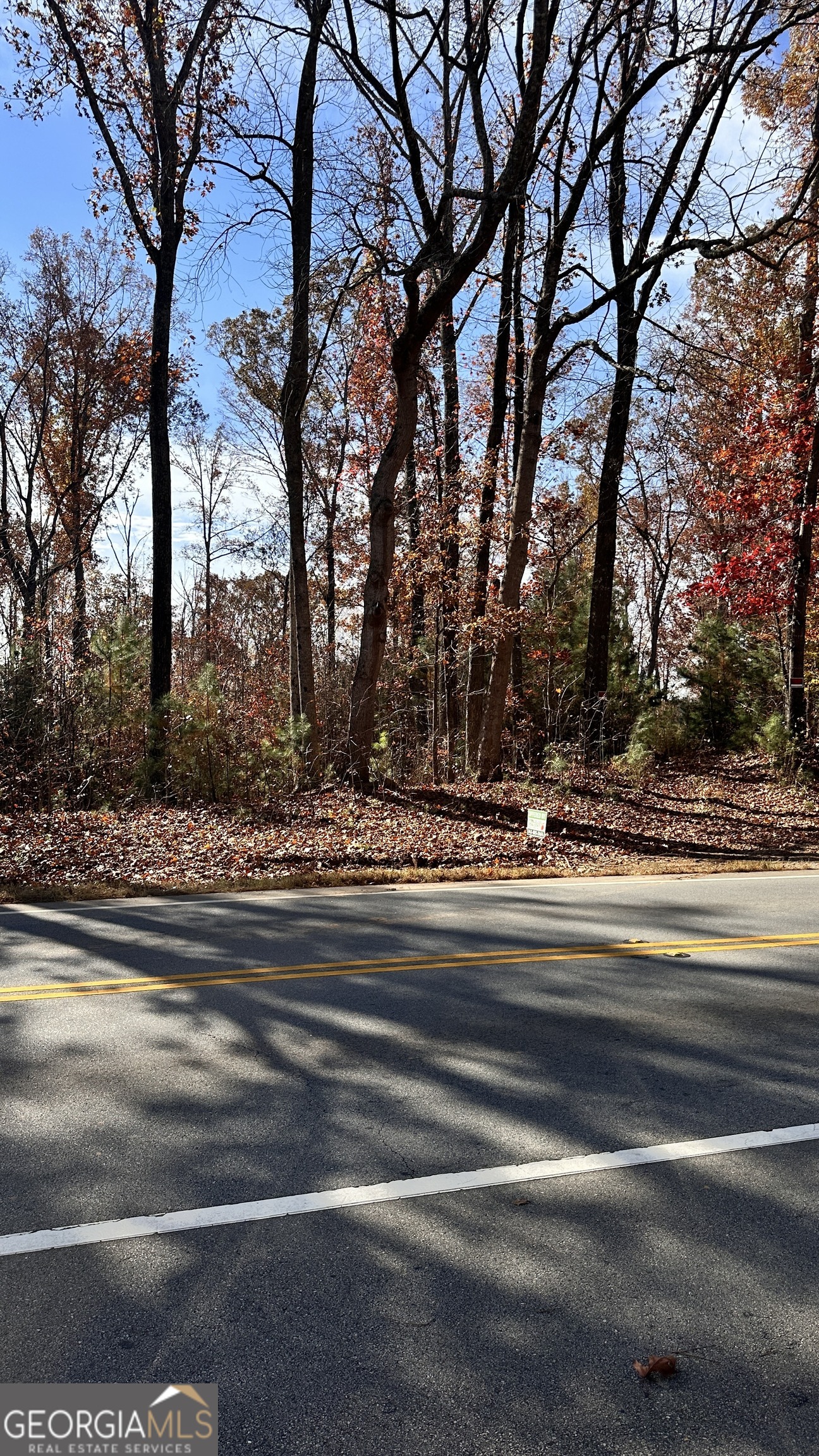 43 ACRES Ivey Springs