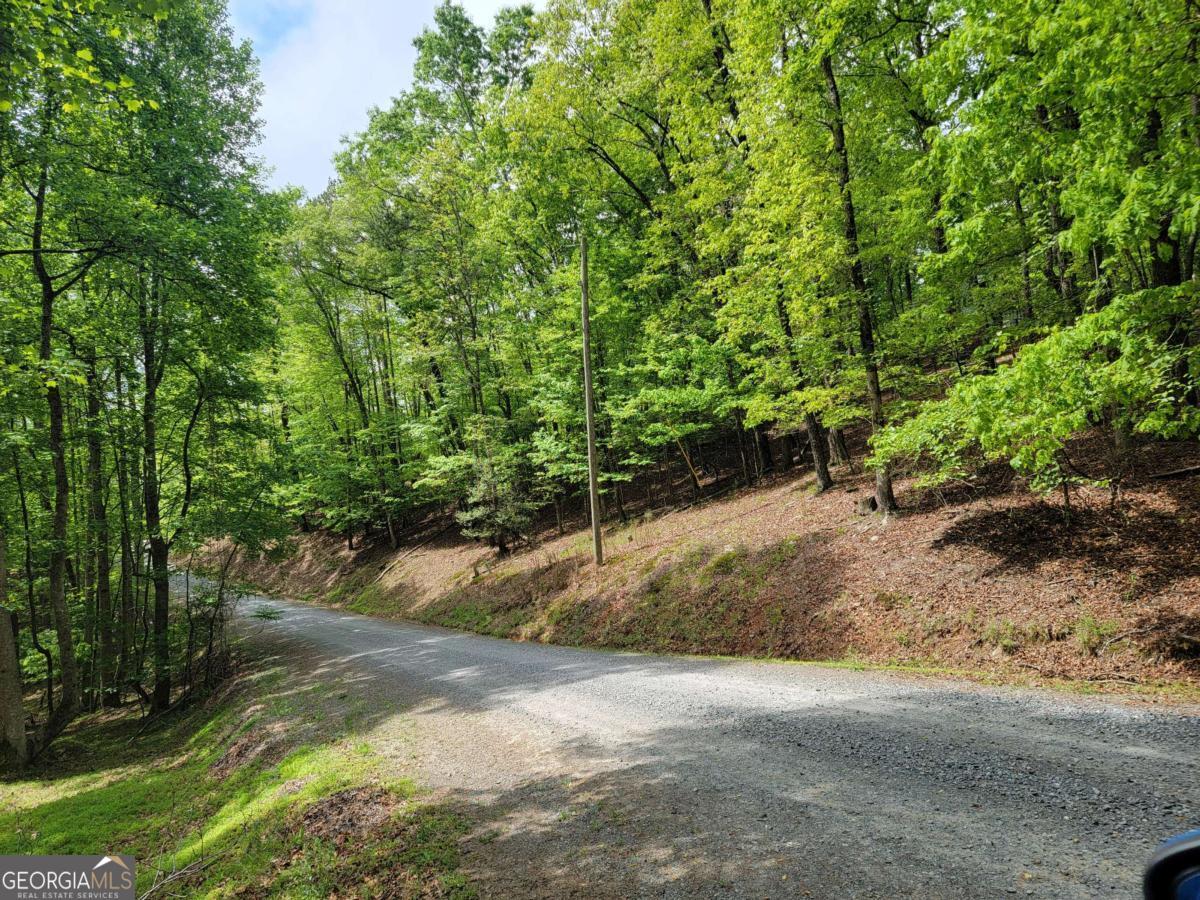 Gentle, easy access lot, close to gate. Build your mountain home in this established area of the community. Community amenities include, indoor/outdoor pools, river access, fitness center, playground and tennis court. Gated community, so must be accompanied by an agent.