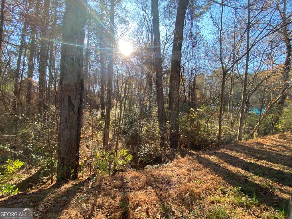 Photo of 11 Belletta Drive, Canton, GA 30114 (MLS # 10707670)