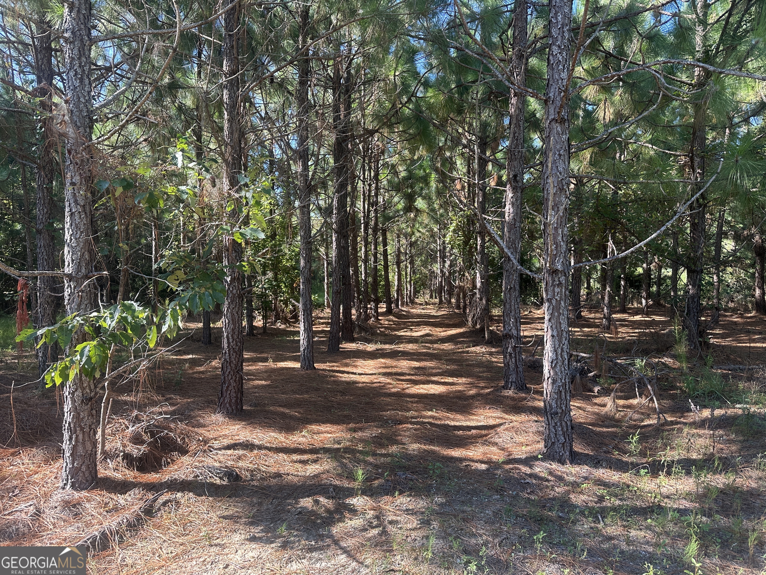 0 Dickey RD