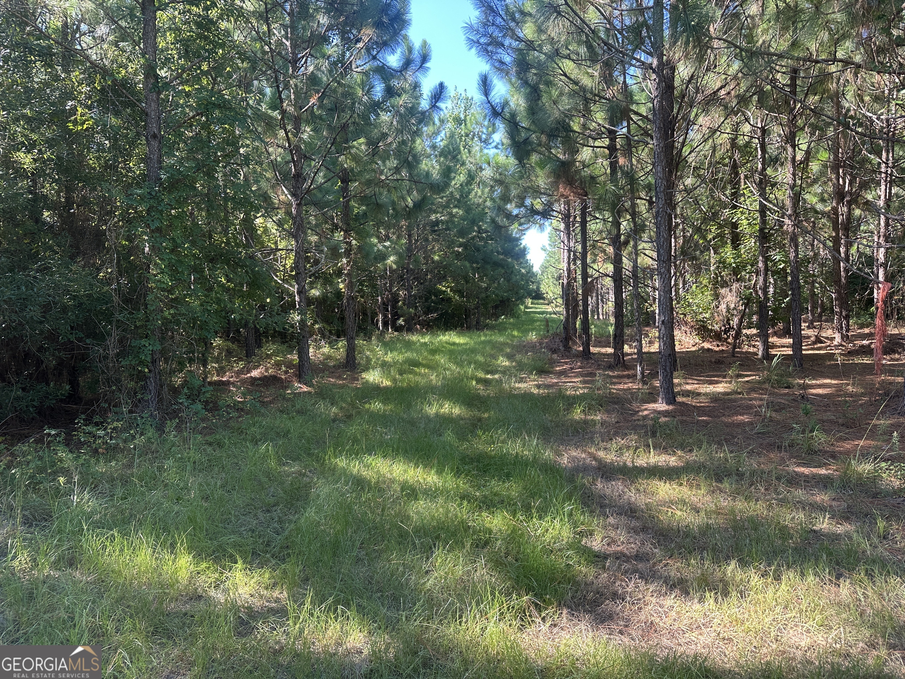 0 Dickey RD