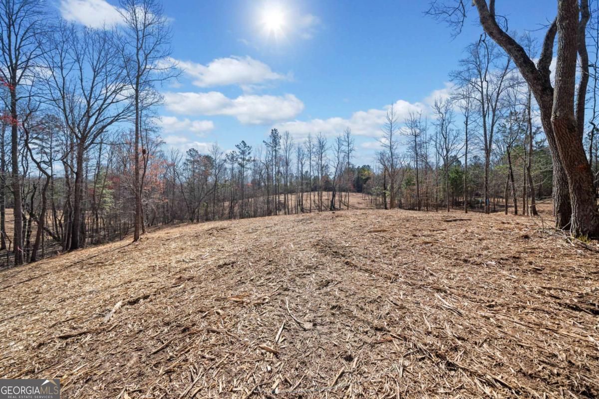 466 Mt. Olive Church LN