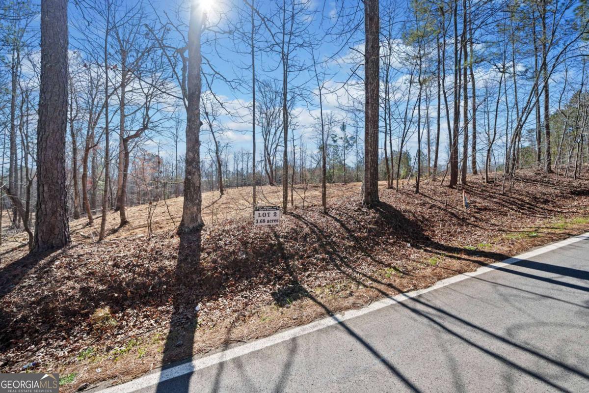 466 Mt. Olive Church LN