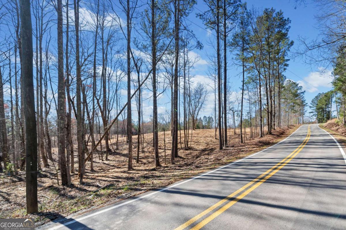 466 Mt. Olive Church LN