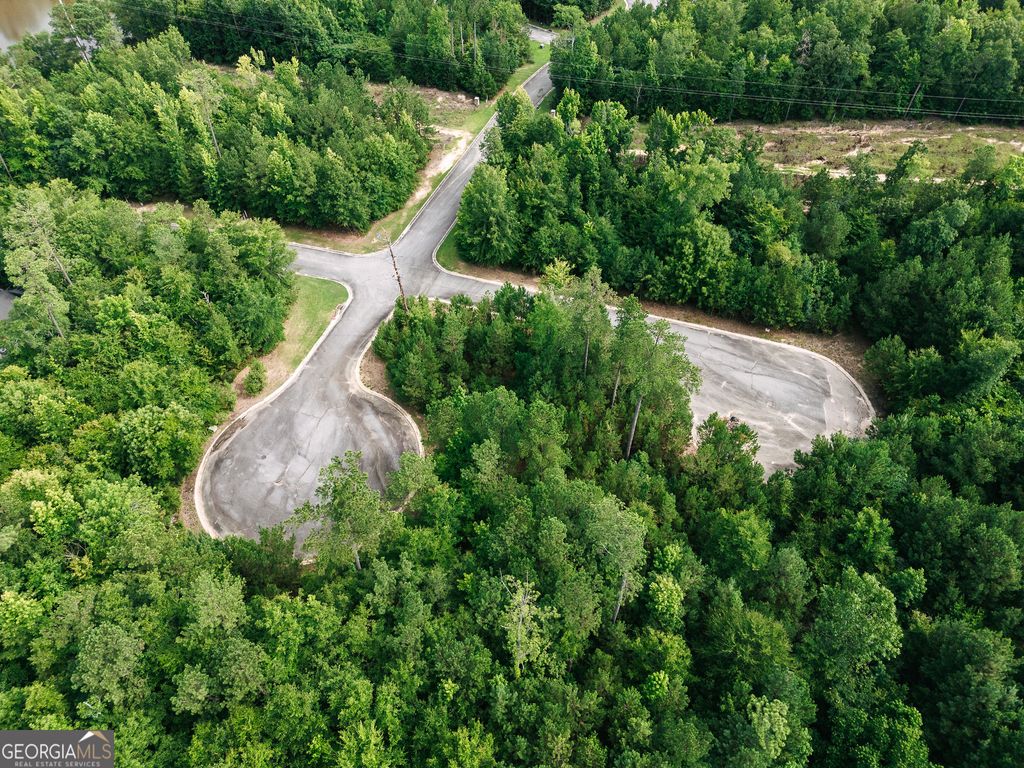 Photo of 2278 Lake Helen Court, Lizella, GA 31052 (MLS # 10660493)