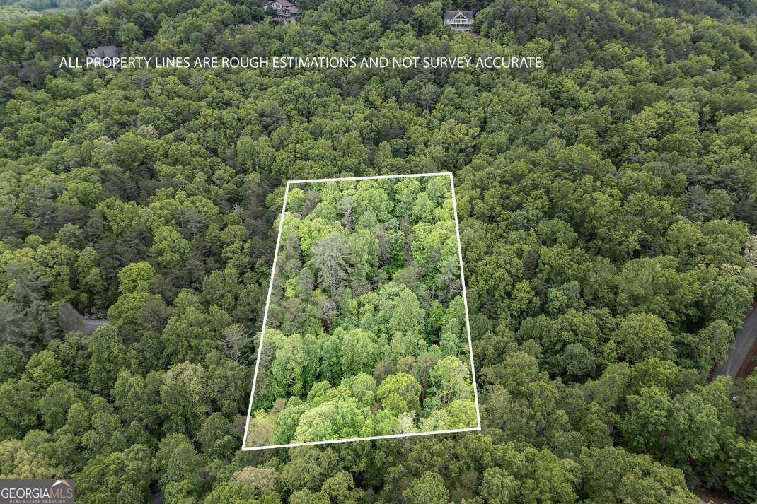 Imagine waking up every day surrounded by the beauty of North Georgia's Wine Country. In the sought-after Skylake gated community, this 1.3-acre wooded lot offers the perfect setting for your dream home. With paved roads, water and power already available, it's ready for your plans. Enjoy the quiet, natural surroundings while still being close to all the fun and adventure the area has to offer. Skylake features outstanding amenities, including a community pool, tennis and pickleball courts, a clubhouse for gatherings, two fishing lakes, and miles of scenic hiking trails. There's also a fitness center, gymnasium, playground, horse barn, RV storage, and 24-hour gated security. Only 10 minutes from downtown Helen, you'll love the charm of this Alpine-inspired village with its unique shops, restaurants, and festivals. Outdoor lovers can explore Unicoi State Park, the Appalachian Trail, and the Chattahoochee National Forest-all just a short drive away. Whether you're building a peaceful retreat, a family getaway, or a high performing rental, this property offers both value and versatility! Don't miss this chance to create your perfect mountain escape in one of North Georgia's top communities.