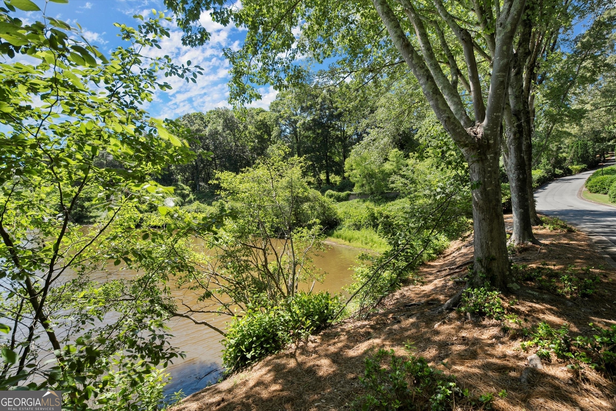 The Overlook - Residential