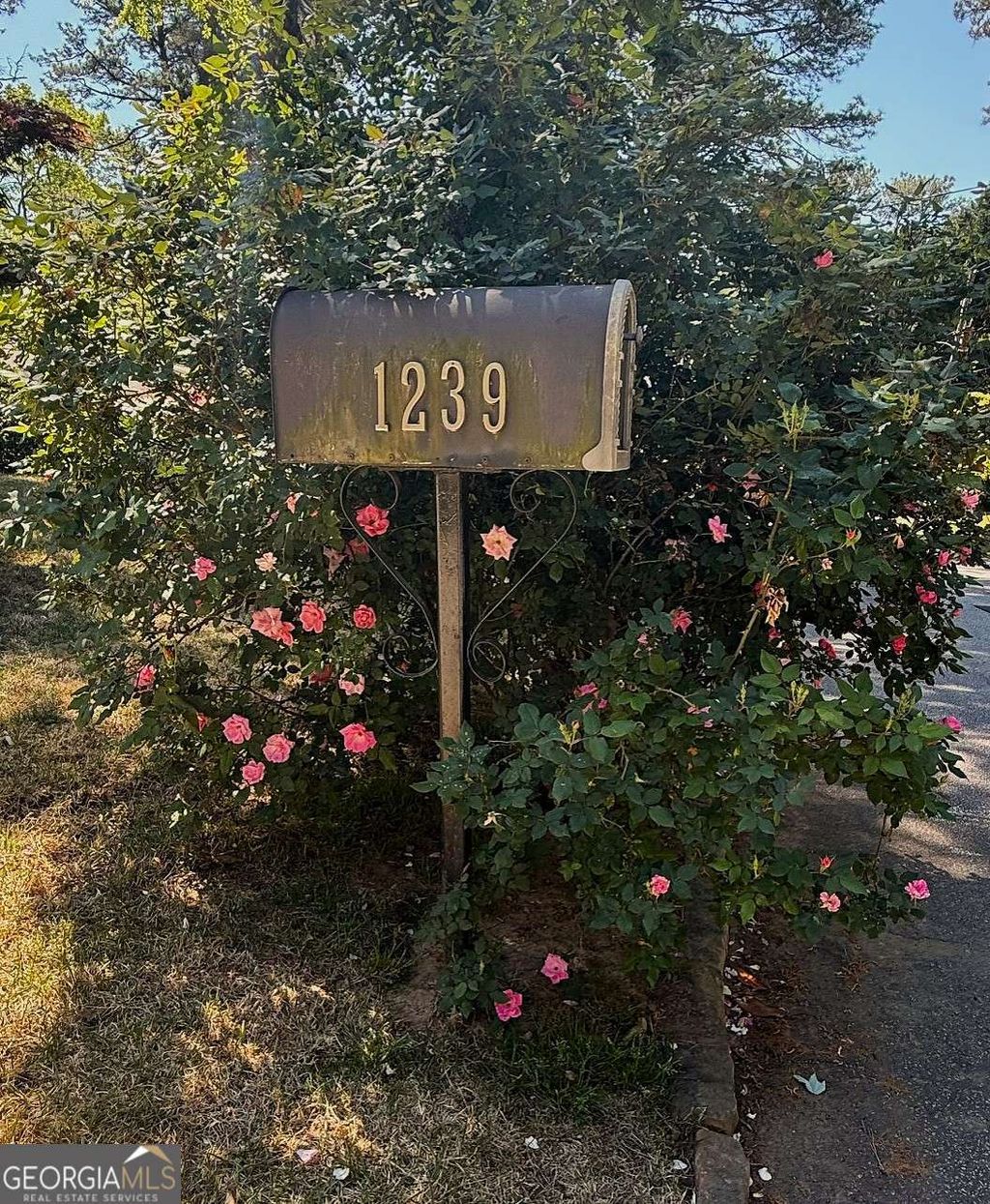 Photo of 1239 Blueberry Trail, Decatur, GA 30033 (MLS # 10736119)