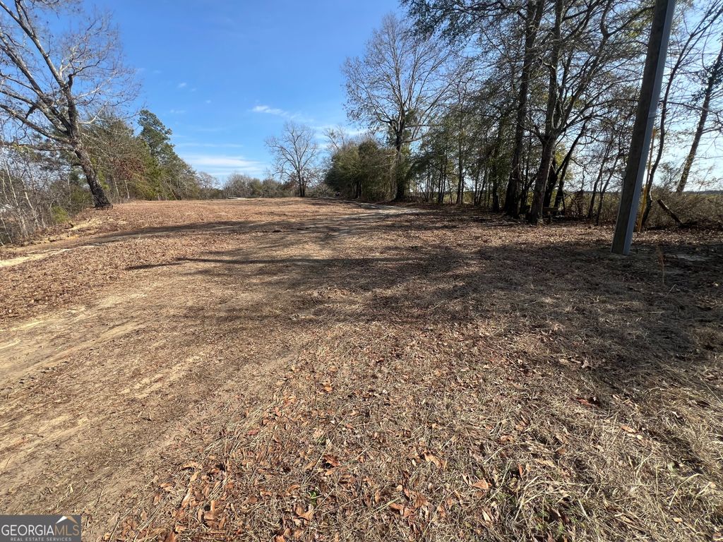 Photo of 4539 Lewis Church Road, Millen, GA 30442 (MLS # 10689311)