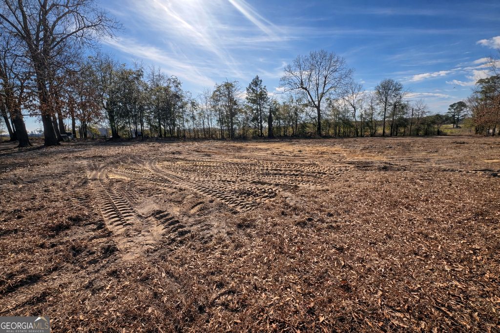 Photo of 4539 Lewis Church Road, Millen, GA 30442 (MLS # 10689311)