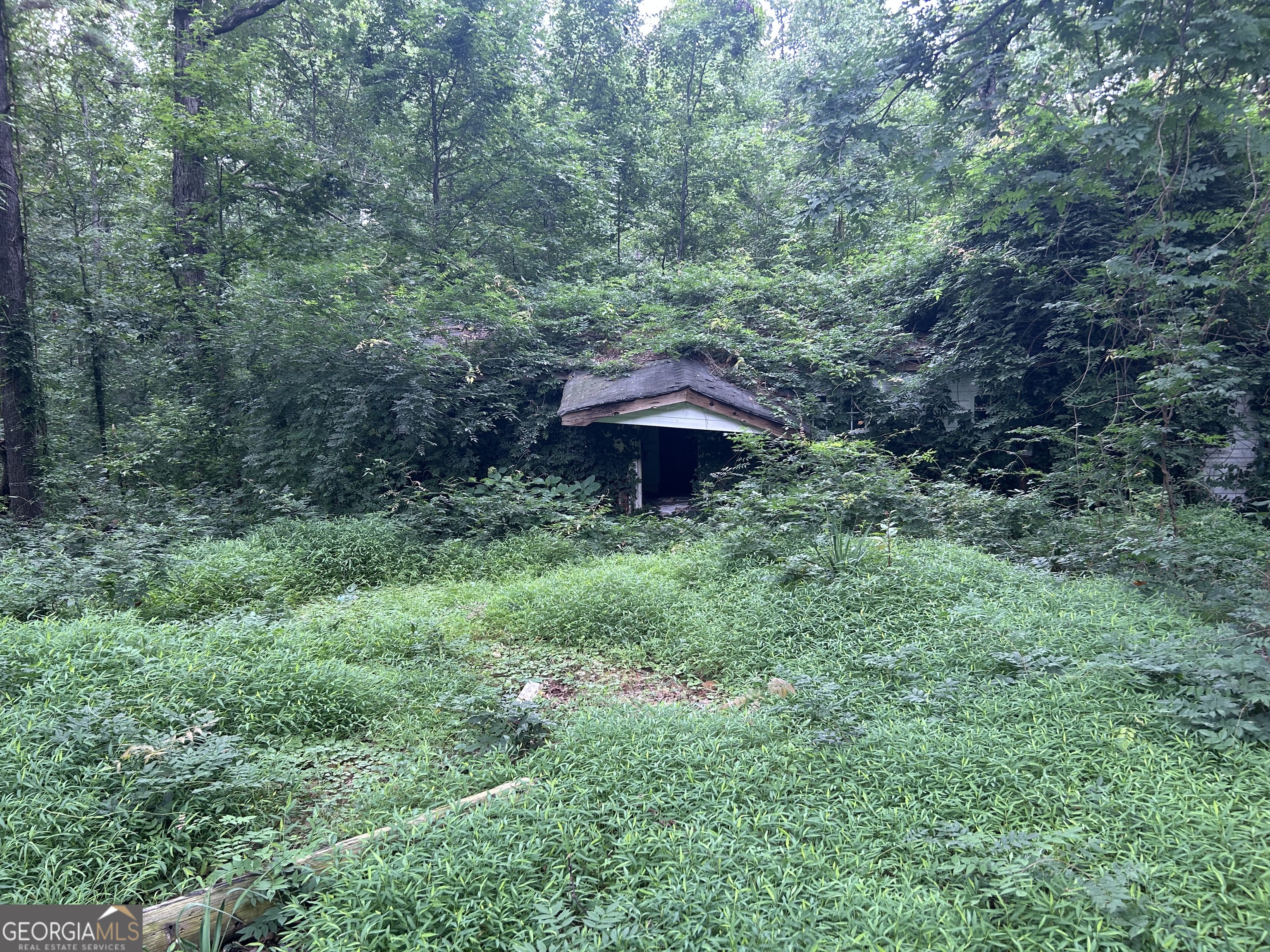 Incredible opportunity on Mountain Dr off GA & Hunt Rd in Douglasville, GA! This offering includes two joined lots totaling approximately 1.57 acres and featuring an old home that hasn't been lived in for 15-20 years, ready for your renovation or redevelopment plans. Public water and electricity are available; the property will require a Septic system. With key utilities already in place, this is a prime investment. Douglasville, steeped in rich railroad history, has evolved into a vibrant, growing suburb just 25 miles west of downtown Atlanta-a quick 30-minute drive. Residents enjoy convenient access to Atlanta's booming job market, including opportunities in tech, logistics, healthcare, and film production, while benefiting from Douglasville's lower cost of living. This area is packed with amenities for every lifestyle: explore charming local shops, parks, and family-friendly venues like the Arbor Place Mall, Sweetwater Creek State Park, and Douglas County's highly rated schools. Douglasville's emerging nightlife scene includes craft breweries, wine bars, live music venues, and a variety of restaurants from Southern classics to international cuisine. Sports and fitness enthusiasts will love being close to Foxhall Resort, West Pines Golf Club, and the many recreation centers and sports complexes nearby. And being just 30 minutes from downtown Atlanta means you're a short drive from Mercedes-Benz Stadium (home of the Falcons and Atlanta United), State Farm Arena, the Georgia Aquarium, and world-class cultural and entertainment events. Whether you envision renovating the existing structure or starting fresh, this property's location, size, utilities, and potential are hard to beat. Invest in Douglasville's bright future today-perfect for homeowners, investors, or developers looking for a property with location, convenience, and opportunity all in one.