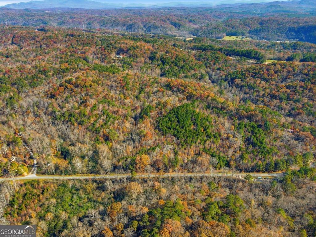 Photo of 38 Whitestone Road, Talking Rock, GA 30175 (MLS # 10686847)