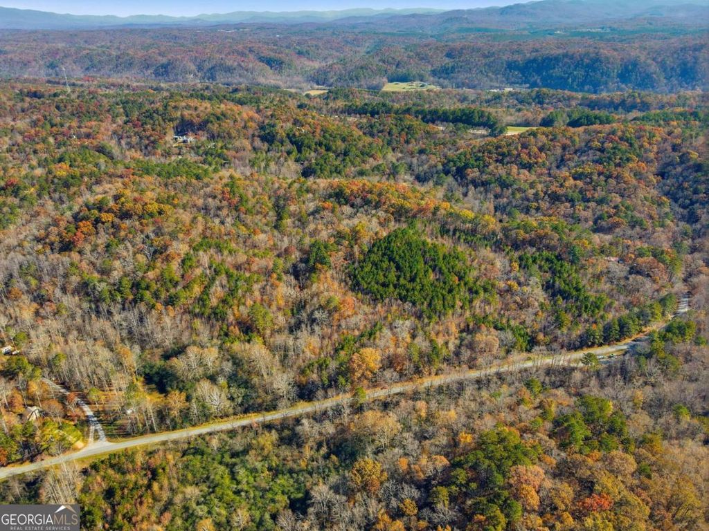 Photo of 38 Whitestone Road, Talking Rock, GA 30175 (MLS # 10686847)