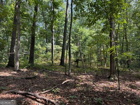 348 A Pat Rich DR Canton GA 30115