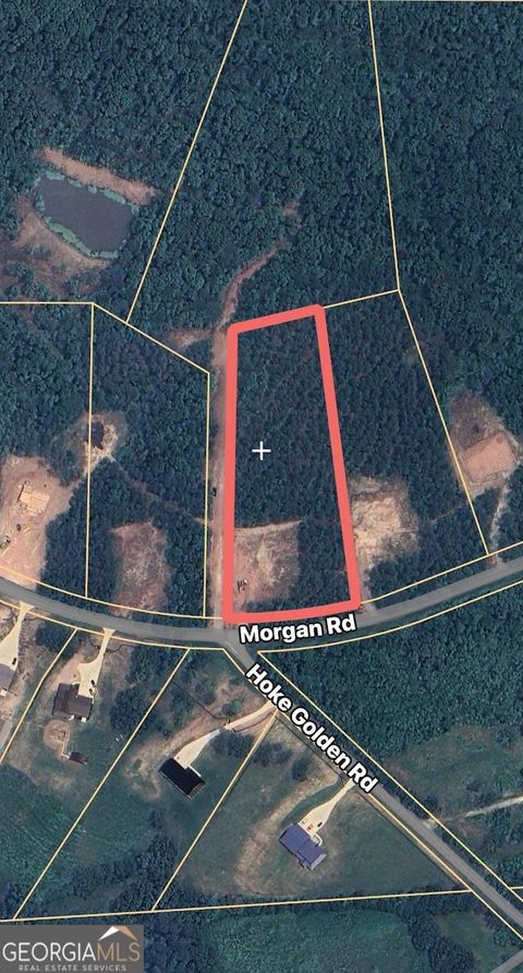 Photo of 1456 Morgan Road, Bremen, GA 30110 (MLS # 10653749)