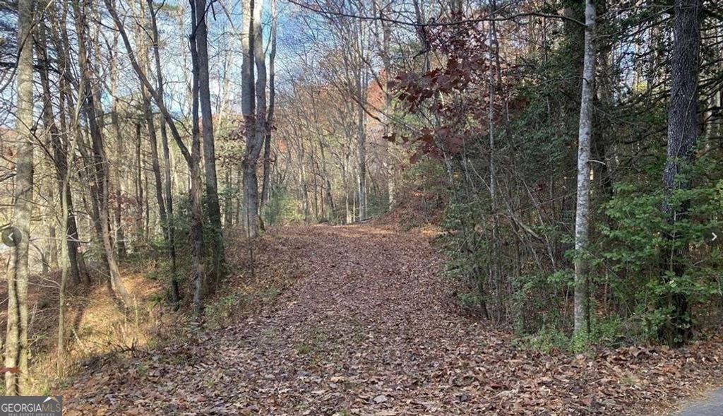 Photo of 1 Barefoot Hills Road, Hiawassee, GA 30546 (MLS # 10663872)