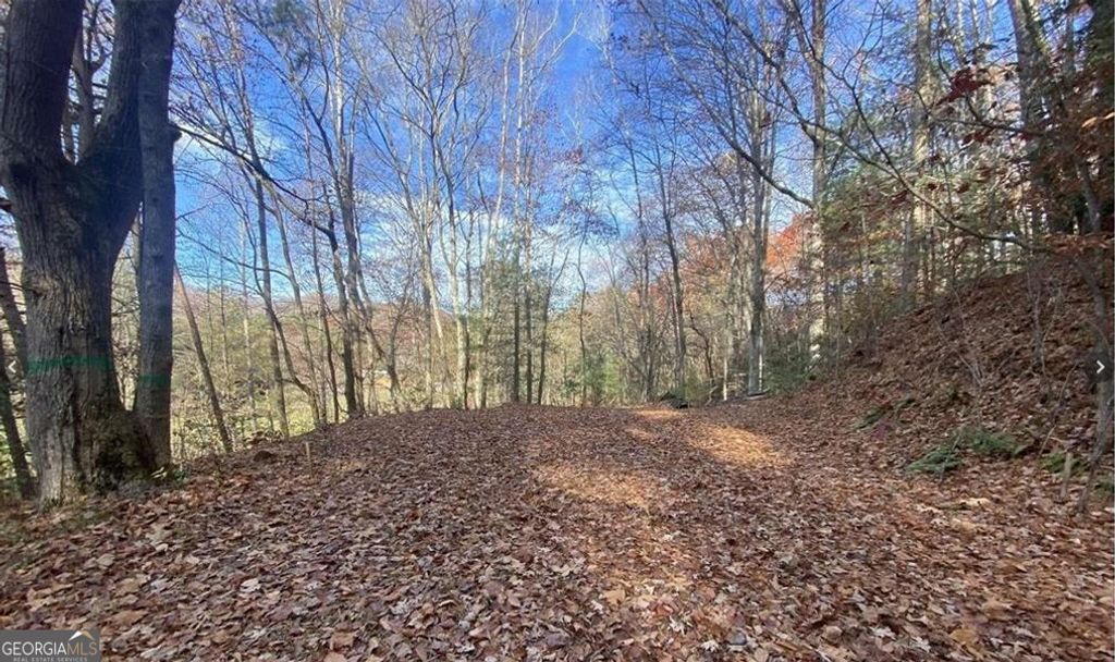 Photo of 1 Barefoot Hills Road, Hiawassee, GA 30546 (MLS # 10663872)