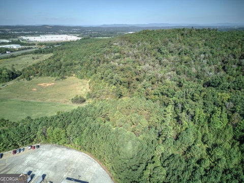 Tiny photo for 0 Soho Drive, Adairsville, GA 30103 (MLS # 10623008)