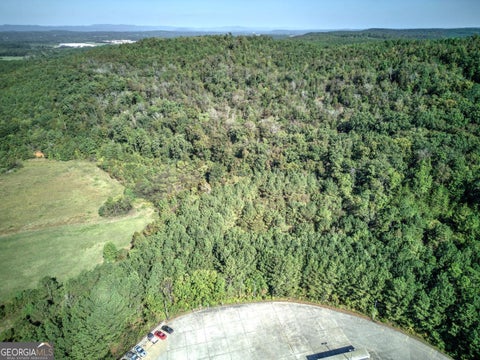 Tiny photo for 0 Soho Drive, Adairsville, GA 30103 (MLS # 10623008)