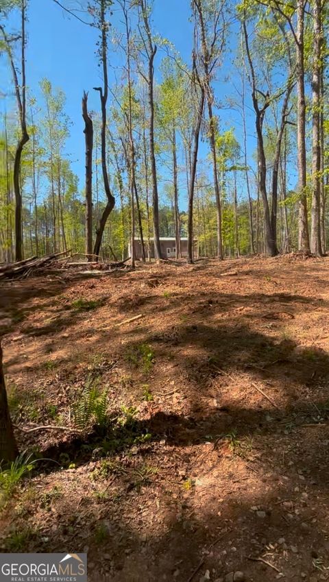 Photo of 282 Quesenberry Drive, Eatonton, GA 31024 (MLS # 10737037)