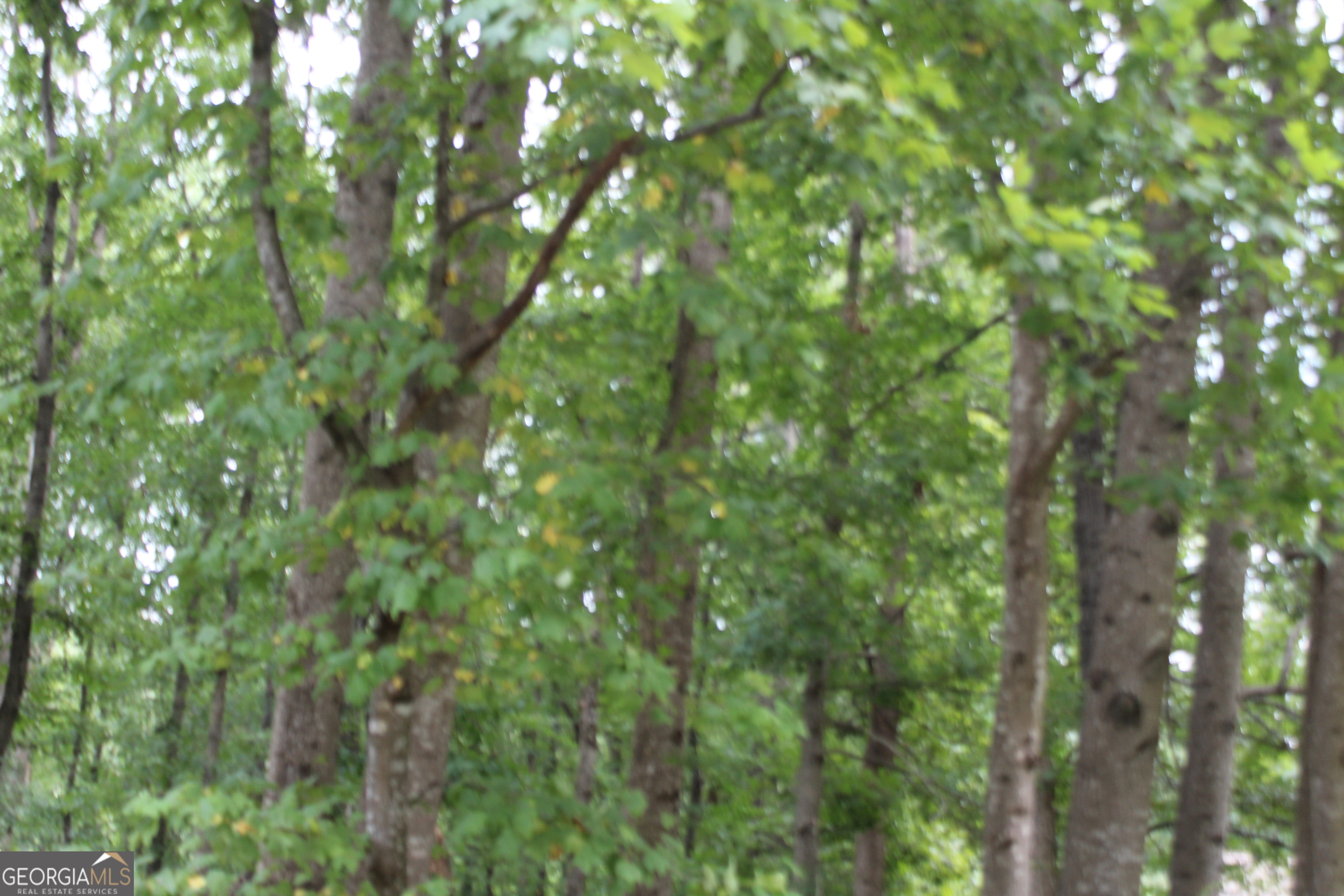 DON'T MISS THIS .96 ACRE LOT IN WELL ESTABLISHED NEIGHBORHOOD! PUBLIC WATER AND UTILITIES ACCESSIBLE. WOODED LANDSCAPE. CONVENIENT TO DINING AND SHOPPING!