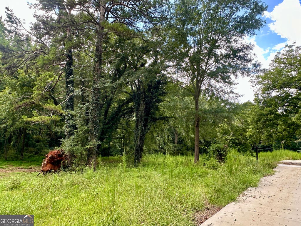 Photo of 3 Pine Street - 2.35 Acres, Pendergrass, GA 30567 (MLS # 10818530)