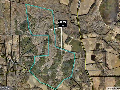 Photo of 764 Bates Rd (228.96acs), Concord, GA 30206 (MLS # 10643643)