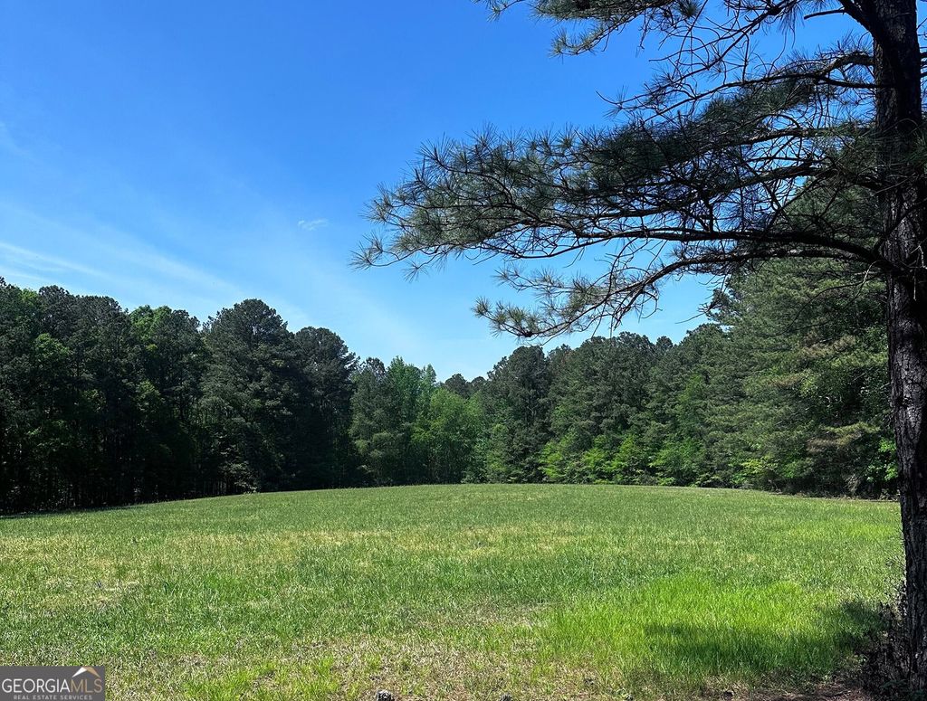 Photo of 0 Wilkerson Mill Road, Palmetto, GA 30268 (MLS # 10737939)