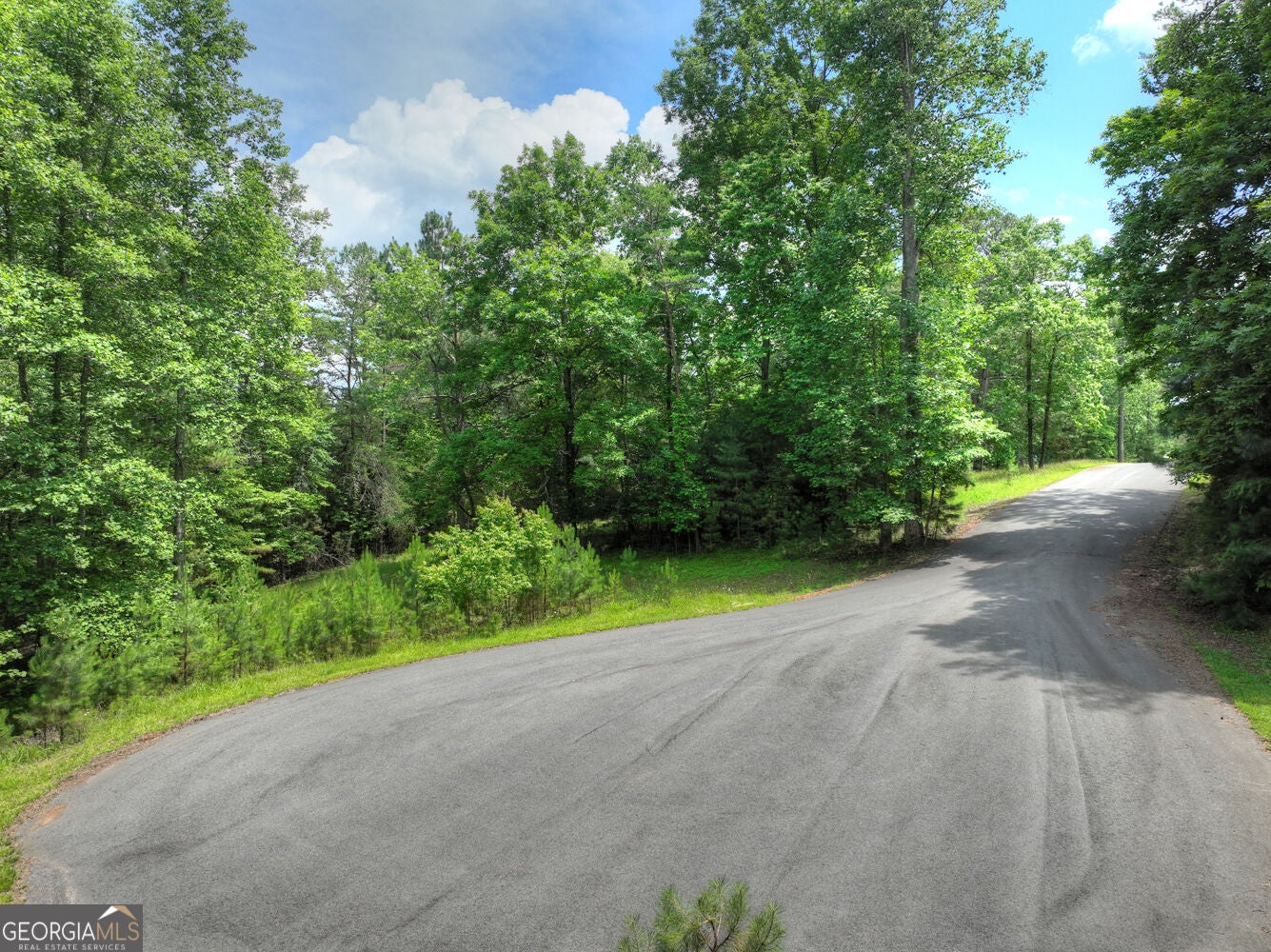 LOT 132 Fox Cove RD