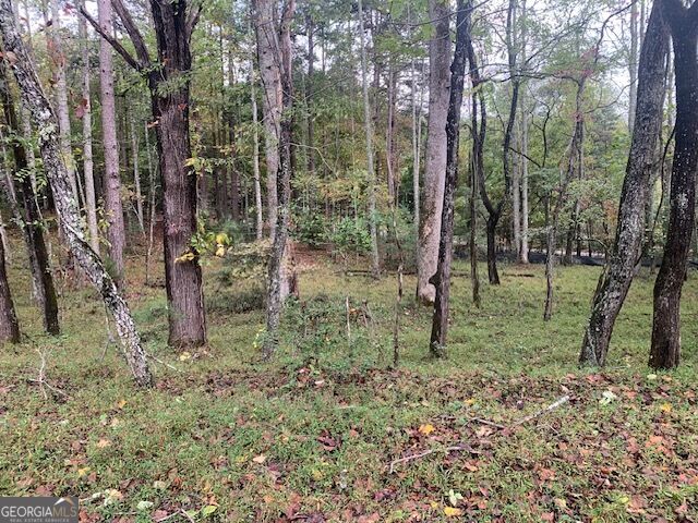 LOT 132 Fox Cove RD