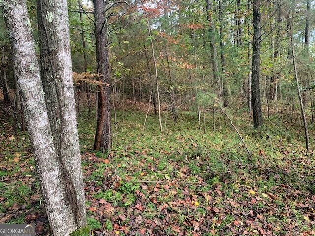 LOT 132 Fox Cove RD