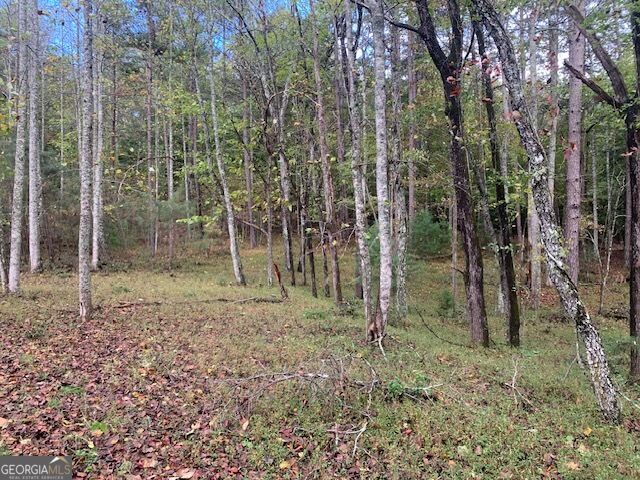 LOT 132 Fox Cove RD