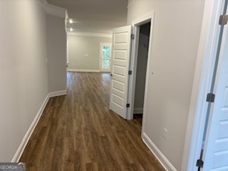 3385 Trevi TRL