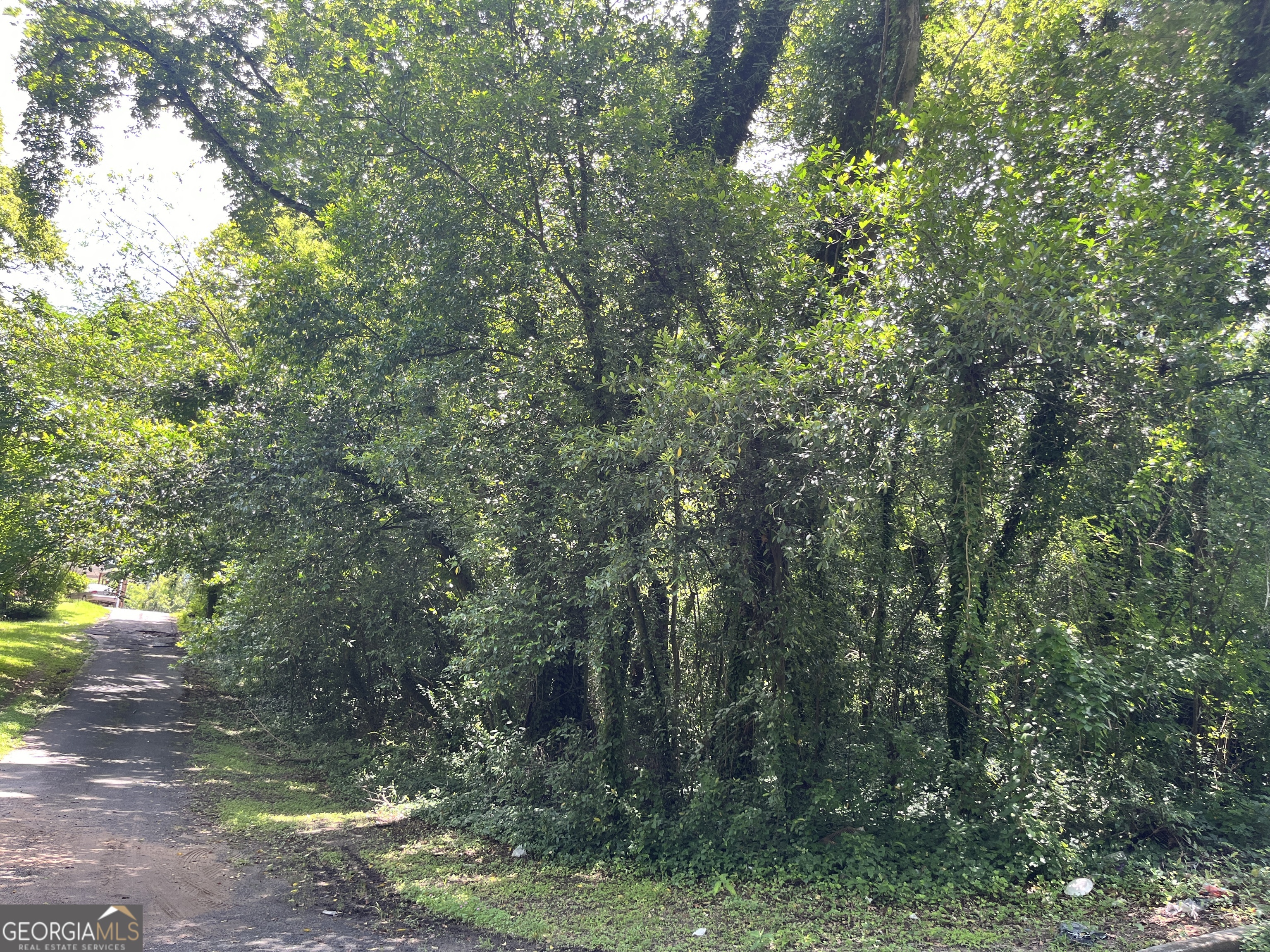 COME, BUY, BUILD! Investment Opportunity in up and coming MACON! 6 LOTS!! Calling all investors, contractors, and visionaries! These as-is, cash-only lots for an opportunity to build a nice home for yourself and rental properties to create passive income. Important: This will be sold in conjunction or seperately with 5 other lots in 31217. 837 Arctic Circle 330 Fulton Street 1135 Sulphur Springs 3912 Kings Park Circle 3434 Lancing Court 838 Womack St