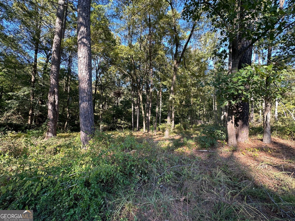 Photo of 5353 Cascade Road SW #LOT  1A, South Fulton, GA 30331 (MLS # 10880128)