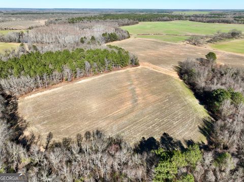 Photo of 0 Jenkins Farm Road, Byromville, GA 31007 (MLS # 10676769)