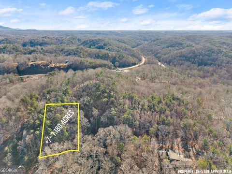 0 Golden Lot 1 AVE Dahlonega GA 30533