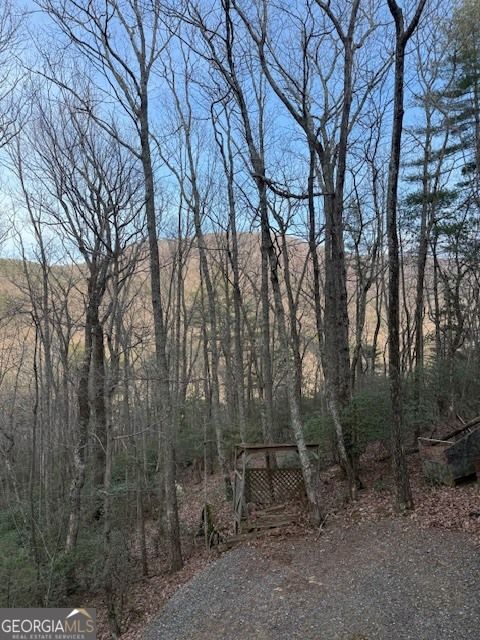 136 Little Rock Creek TRL Cherry Log GA 30522