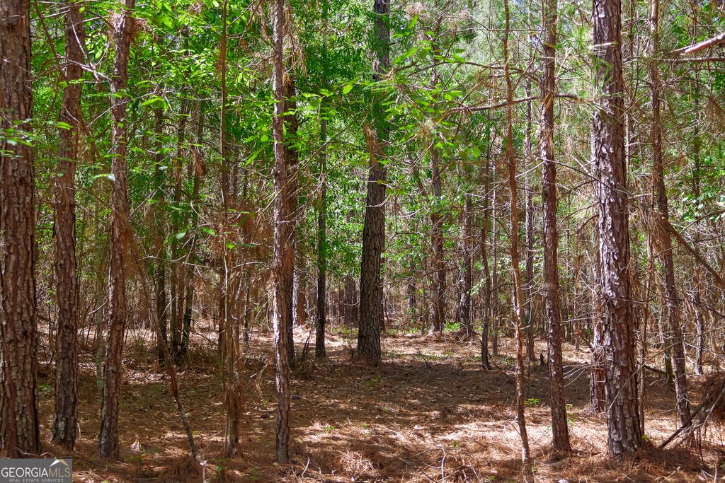 Photo of 0 Effingham Highway, Sylvania, GA 30467 (MLS # 10740490)