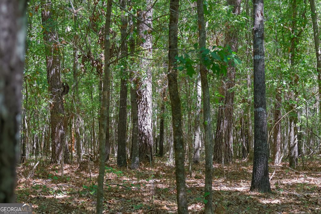 Photo of 0 Effingham Highway, Sylvania, GA 30467 (MLS # 10740490)