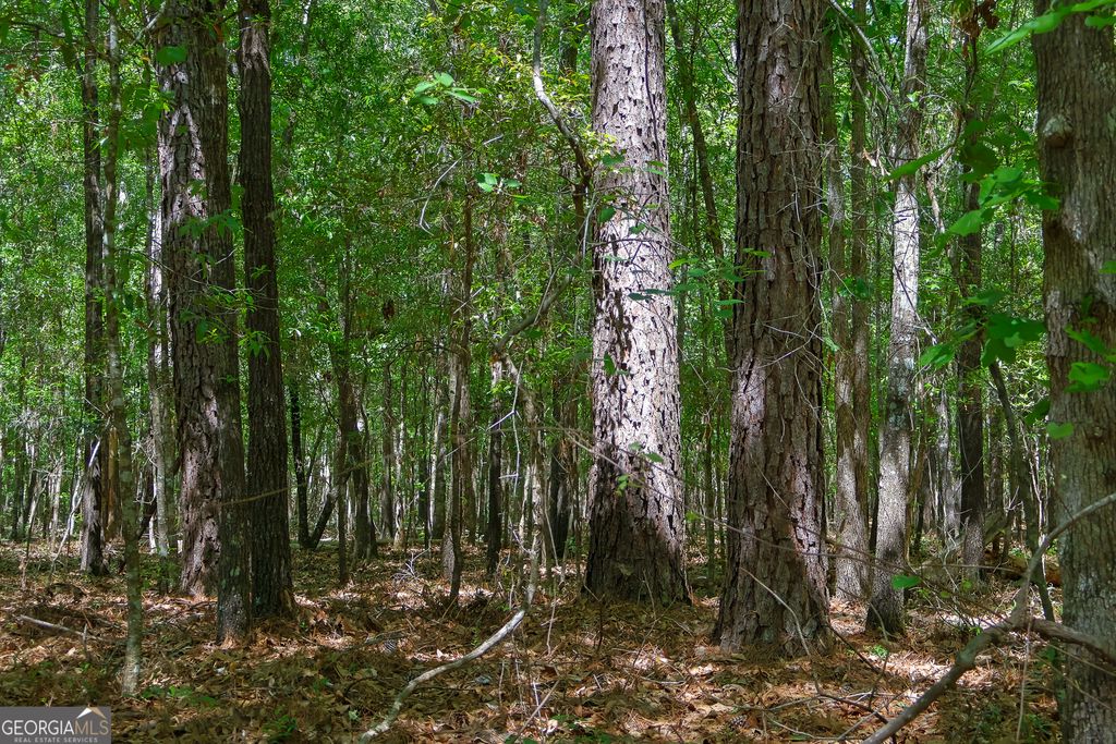 Photo of 0 Effingham Highway, Sylvania, GA 30467 (MLS # 10740490)