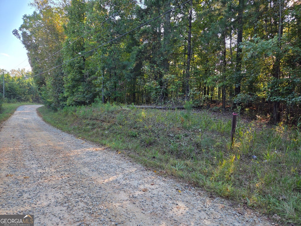 Photo of 0 Vickers Road, Flovilla, GA 30216 (MLS # 10874540)