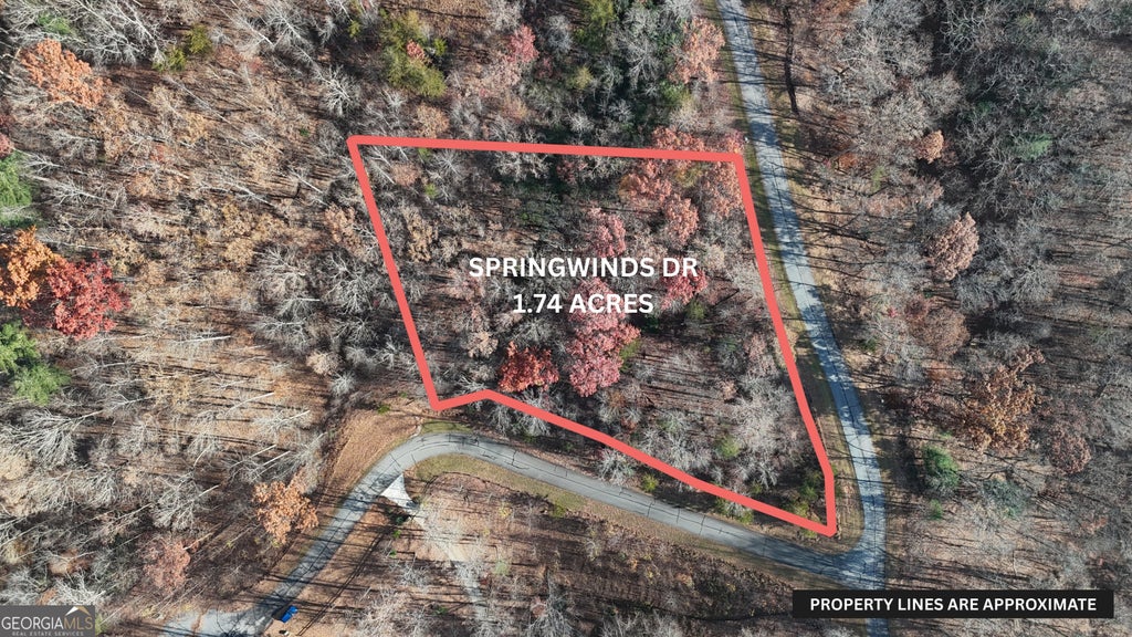 Photo of 196 Springwinds Drive, Cleveland, GA 30528 (MLS # 10794936)