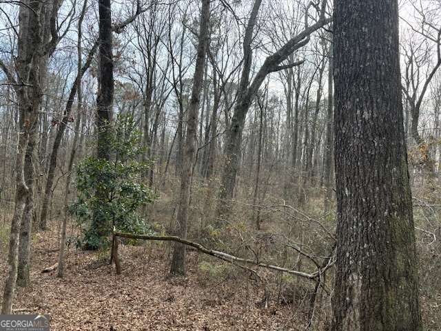 Here is your chance to make your mark on over 18 acres. Enjoy mature hardwoods with a creek on the property. Build your dream home in the woods or make pasture for livestock. The possibilities are endless. Road frontage on Pitts Road just off Mt. Zion Road. Conveniently located between Carrollton and Bremen, and just under 6 miles from I-20. There is one additional adjoining tract of land available with road frontage on Mt. Zion Road.