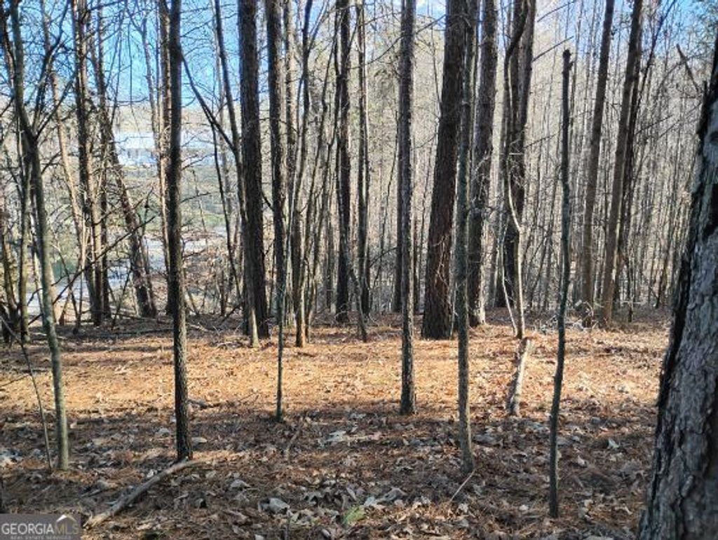 Photo of 0000 Garrison Shoals Rd, Lula, GA 30554 (MLS # 10676208)