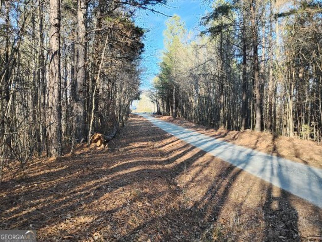 Photo of 0000 Garrison Shoals Rd, Lula, GA 30554 (MLS # 10676208)