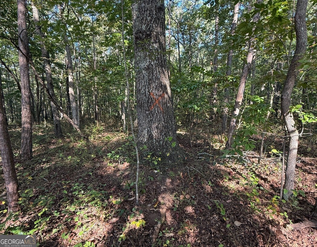 0 Turkey CT LOT 42 & 46