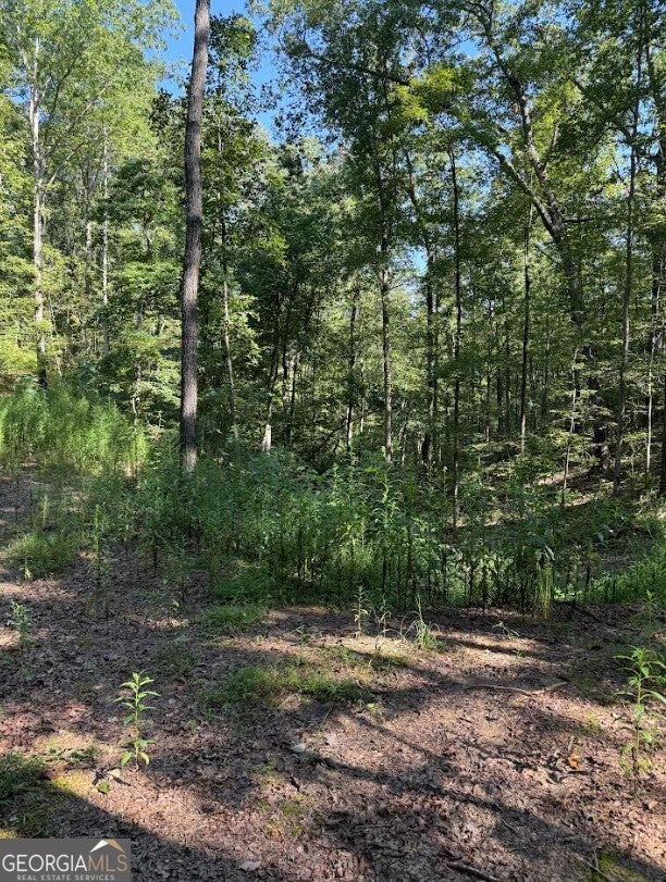 0 Turkey CT LOT 42 & 46