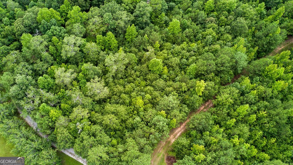 Photo of 0 Butts Mill Road, Pine Mountain, GA 31822 (MLS # 10716997)